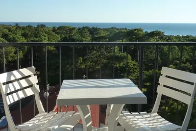 Image de T2 rénové avec balcon, parking couvert, animaux admis