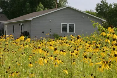Image de Peace on the Prairie: environnement de prairies indigènes - Animaux acceptés.