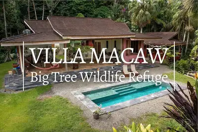 Image de Luxury Villa Macaw Pool House with Ocean Views