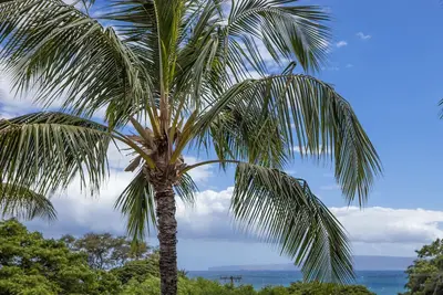 Image de Vue partielle sur l'océan au prix de vue sur le jardin, 1 chambre pour 4 personnes à Maui Vista # 1317