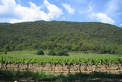 Image de Gîte au Domaine de Siouvette