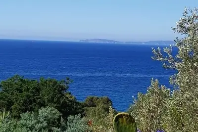 Image de Les Lauriers Roses 2