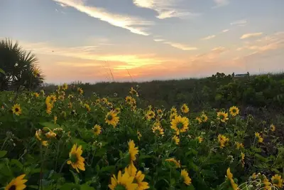 Image de Serein et relaxant