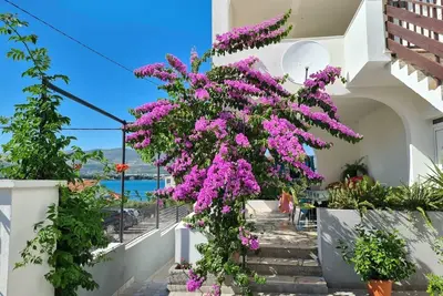 Image de Appartement de trois chambres avec la terrasse Arbanija, Ciovo (A-11321-a)