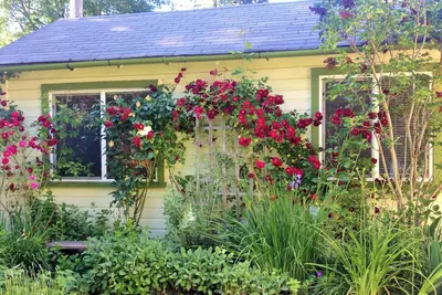 Image de Gîte de charme dans quartier historique
