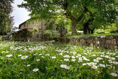 Image de Le Braconnier, luxe in Chianti - Wifi, piscine, parking
