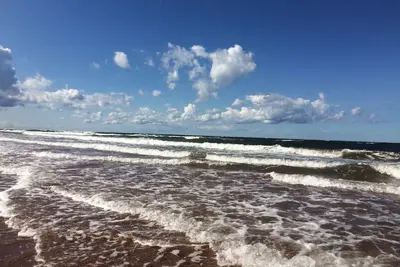 Image de Oysterbay Cottage - Fun, Plage et de la Nourriture