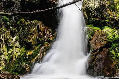 Image de Devonport Serenity - l'espace pour toute la famille