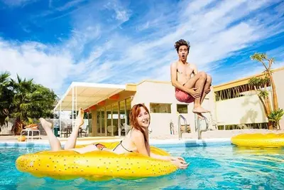 Image de Le Rat célèbre Paquet Maison Vu à la Tv