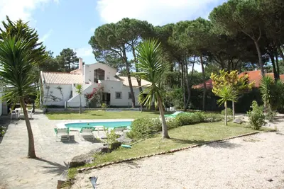 Image de Pinewood Dans Un Proche De La Mer