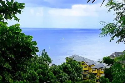 Image de \"La villa du cocotier\"