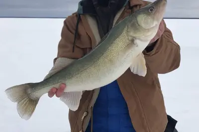 Image de Location de cabine spacieuse avant Lac 4 saisons - 1 heure au nord de Winnipeg