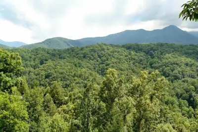 Image de Vous aurez le point de vue dans ce chalet 3 Br / 3 Ba vrai journal avec 2200 pieds carrés et toutes les commodités.