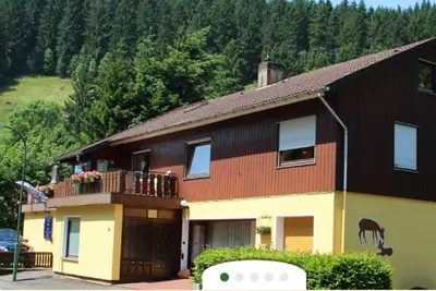 Image de Pension Haus Brückner - Appartement - Appartement