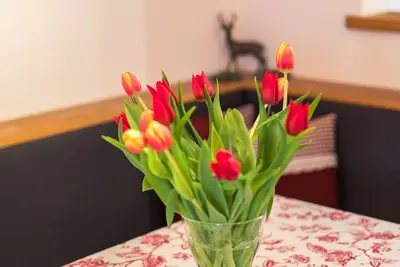 -06- Ferienwohnung \"Unternberg\" (50qm), Balkon, Küche extra, 1 Schlaf- und 1 Wohnzimmer, max 2 Pers, Wlan