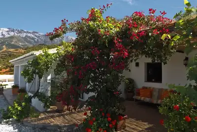Image de Casa Almendros, maison de campagne de style andalou traditionnel avec piscine privée