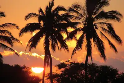 Image de Kepuhi Beach Resort # 2202 - Paradise Trouvé