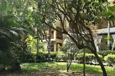 Image de Colibri Surf House & Flats