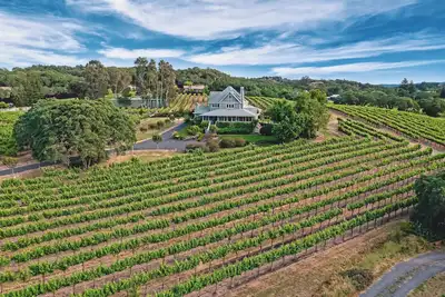 Image de Vue imprenable sur le vignoble à 360 degrés