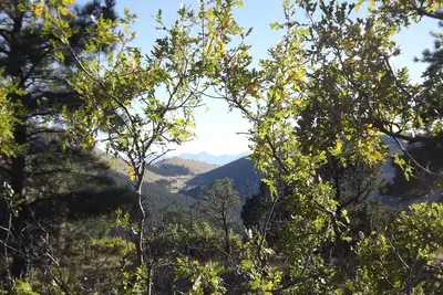 Image de Tipis dans les Rocheuses - Une expérience unique