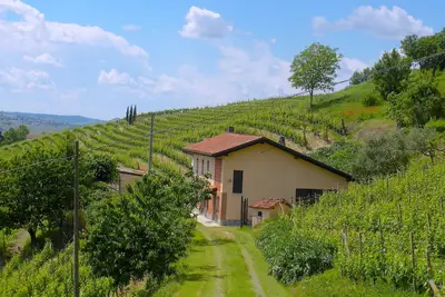 Image de Farmhouse In The Middle Of The Vineyards In Nizza Monferrato