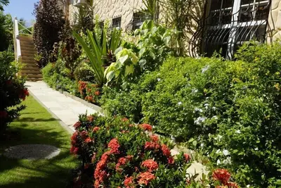 Image de « Fierté de Courlande » en bord de mer appartements avec piscine la mer des Caraïbes - Ap. Mot mot