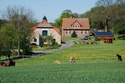 Image de Appartements Ii - Ferienhof auf Rügen