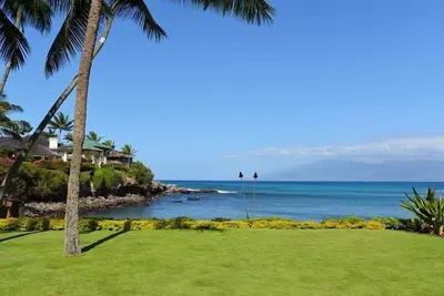 Image de Aménagement paysager tropical, face à l'océan! Condo # 115, climatisé, rez-de-chaussée.