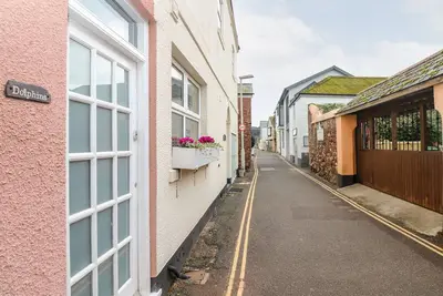 Image de Les dauphins, Shaldon