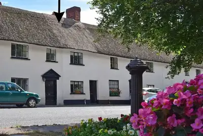 Image de 11 Le vert, Otterton