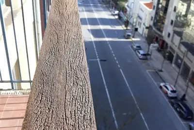 Image de Boavista Charming Center