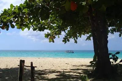 Image de Une bouffée de repos et de détente sur l'une des plus belles plages du monde!