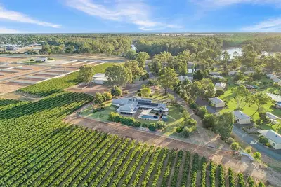 Image de Domaine Nepeta Cataria -