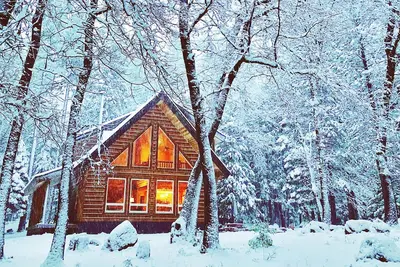 Image de Nouveau! Cabane en rondins près du parc national de Lassen