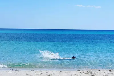 Image de Budoni, appartement 7, à quelques pas de la plage