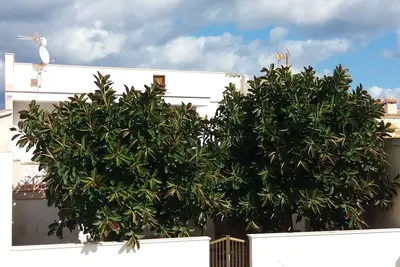 Image de Cosy House À 100 MÈTRES De La Plage De Son Serra De Marina