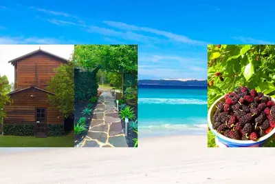 Image de Wren Cottage Beaumaris Escape Torbay