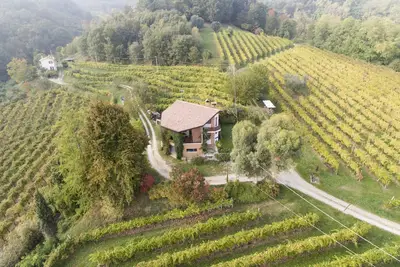 Une maison dans le vignoble
