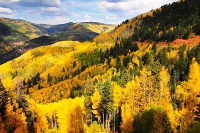 Image de Forested Hideaway, Hottub, WiFi, Directv, Wildlife, Nr Attractions, Gas & Food!