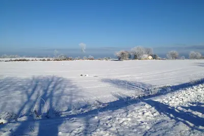 Image de Ferienhaus See-Hedgehog Fw Tern - Fw Sterne