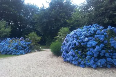 Image de La Clé des Roulottes Campsite