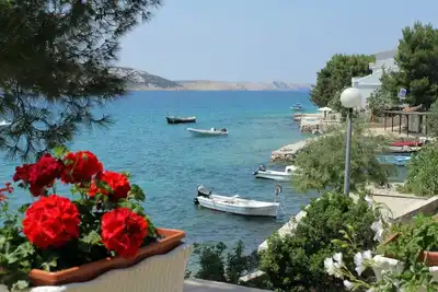 Image de Appartement d'une chambre prés de la plage Stara Novalja, Pag (A-234-e)