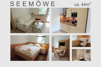 Image de Mouette (6) - Landhaus Mönkebude