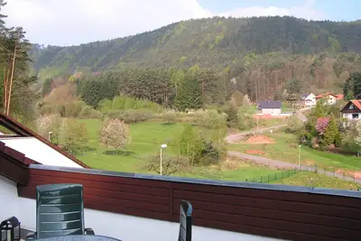 Image de Holiday Waldblick Schwanheim avec grande terrasse et vue imprenable