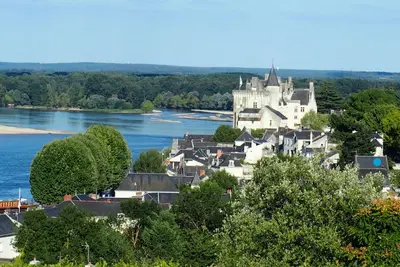 Image de Belle maison indépendante du Xvi siècle avec un jardin suspendu sur la Loire.
