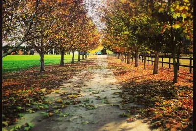 Image de Hawkesbury Country Retreat