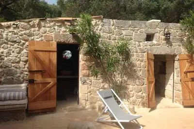 Image de Ammare Au Bord De La Mer