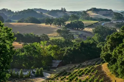 Image de Orchard Hill Farm - Confort élégant dans West Side souhaitable Paso Robles