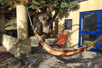 Image de Maison sous caroubier, au milieu des vignes de Salina