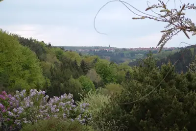 Image de Trés agréable gîte au coeur des Vosges du Nord, bien équipé, maxi 12 pers